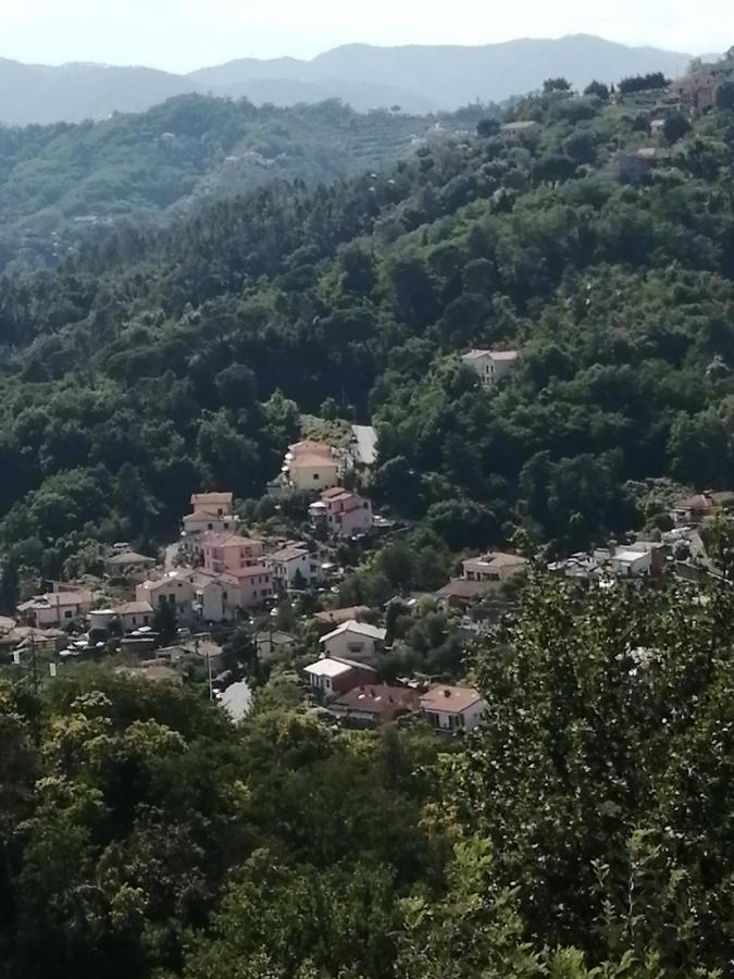 In Campagna Country house