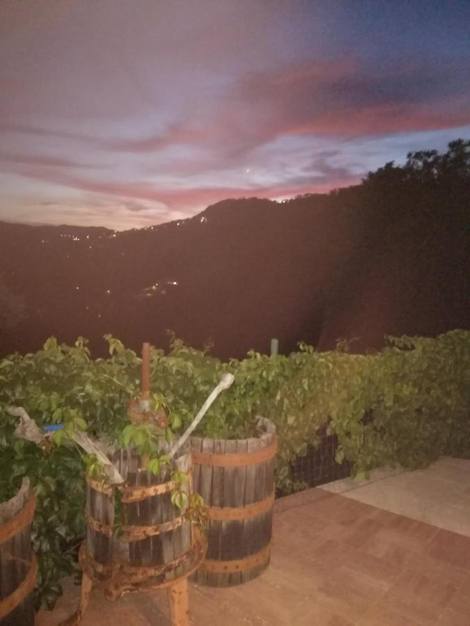In Campagna * La Spezia